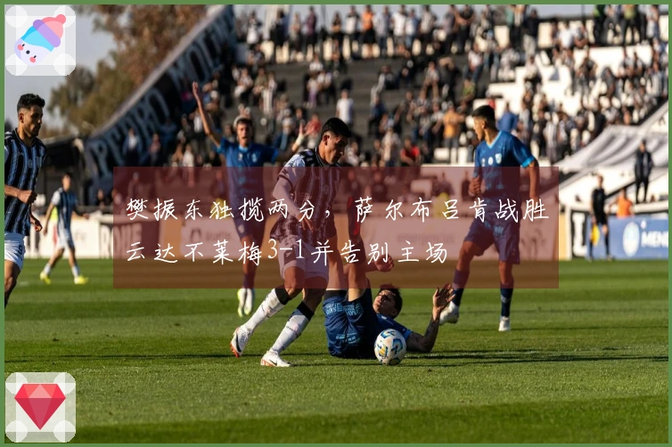 樊振东独揽两分，萨尔布吕肯战胜云达不莱梅3-1并告别主场